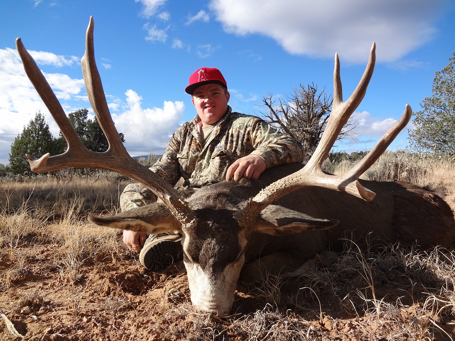 Arizona strip mule deer