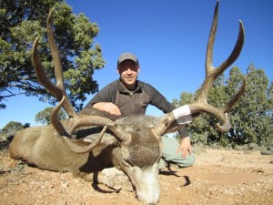 arizona unit 12b mule deer guides arizona unit 12b mule deer guides