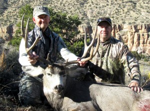unit 12b arizona mule deer guides unit 12b arizona mule deer guides